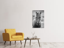 Laden Sie das Bild in den Galerie-Viewer, Leinwandbild Da Steht Ein Pferd Auf`m Flur