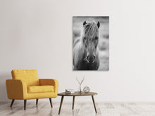 Laden Sie das Bild in den Galerie-Viewer, Leinwandbild Da Steht Ein Pferd Auf`m Flur