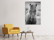 Laden Sie das Bild in den Galerie-Viewer, Leinwandbild Da Steht Ein Pferd Auf`m Flur