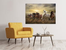 Laden Sie das Bild in den Galerie-Viewer, Leinwandbild Wilde Pferde