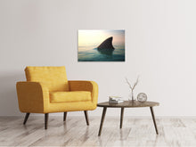 Laden Sie das Bild in den Galerie-Viewer, Leinwandbild Haifischflosse