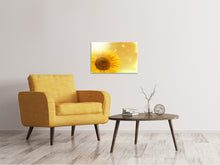 Laden Sie das Bild in den Galerie-Viewer, Leinwandbild Sonnenblume im Morgentau