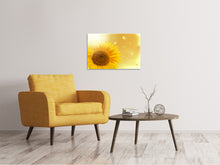 Laden Sie das Bild in den Galerie-Viewer, Leinwandbild Sonnenblume im Morgentau