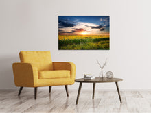 Laden Sie das Bild in den Galerie-Viewer, Leinwandbild Ein Feld von Sonnenblumen