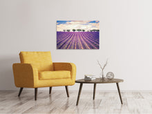 Laden Sie das Bild in den Galerie-Viewer, Leinwandbild Das Lavendelfeld