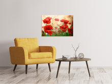 Laden Sie das Bild in den Galerie-Viewer, Leinwandbild Der Klatschmohn
