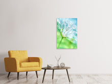 Laden Sie das Bild in den Galerie-Viewer, Leinwandbild Makroaufnahme Pusteblume