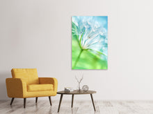 Laden Sie das Bild in den Galerie-Viewer, Leinwandbild Makroaufnahme Pusteblume