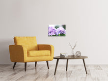 Laden Sie das Bild in den Galerie-Viewer, Leinwandbild Hortensien