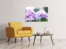 Laden Sie das Bild in den Galerie-Viewer, Leinwandbild Hortensien