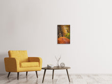 Laden Sie das Bild in den Galerie-Viewer, Leinwandbild Laubwald im Herbstlicht
