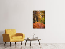 Laden Sie das Bild in den Galerie-Viewer, Leinwandbild Laubwald im Herbstlicht