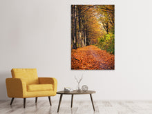 Laden Sie das Bild in den Galerie-Viewer, Leinwandbild Laubwald im Herbstlicht