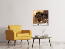 Laden Sie das Bild in den Galerie-Viewer, Leinwandbild Black Beauty