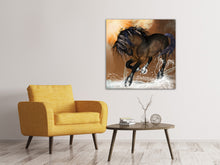 Laden Sie das Bild in den Galerie-Viewer, Leinwandbild Black Beauty