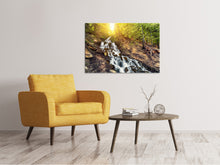 Laden Sie das Bild in den Galerie-Viewer, Leinwandbild Naturschönheit