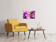 Laden Sie das Bild in den Galerie-Viewer, Leinwandbild Im Orchideenparadies
