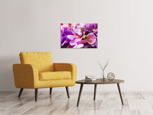 Laden Sie das Bild in den Galerie-Viewer, Leinwandbild Im Orchideenparadies