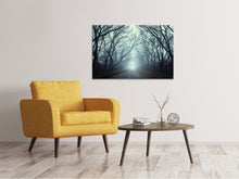Laden Sie das Bild in den Galerie-Viewer, Leinwandbild Nebelwald
