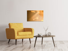 Laden Sie das Bild in den Galerie-Viewer, Leinwandbild Abendhimmel