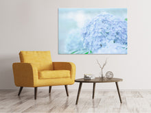 Laden Sie das Bild in den Galerie-Viewer, Leinwandbild Die Hortensie