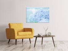 Laden Sie das Bild in den Galerie-Viewer, Leinwandbild Die Hortensie