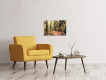 Laden Sie das Bild in den Galerie-Viewer, Leinwandbild Feenwald