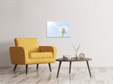 Laden Sie das Bild in den Galerie-Viewer, Leinwandbild Der Löwenzahn im Sonnenstrahl