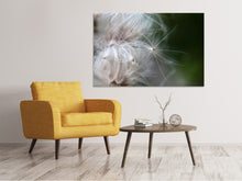 Laden Sie das Bild in den Galerie-Viewer, Leinwandbild Close up Blütenfasern