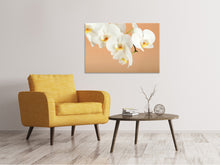 Laden Sie das Bild in den Galerie-Viewer, Leinwandbild Weisse Orchideenblüten