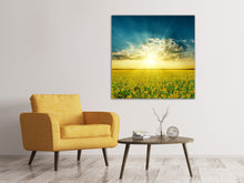 Laden Sie das Bild in den Galerie-Viewer, Leinwandbild Sonnenblumen in der Abendsonne