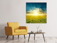 Laden Sie das Bild in den Galerie-Viewer, Leinwandbild Sonnenblumen in der Abendsonne