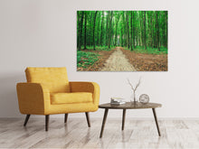 Laden Sie das Bild in den Galerie-Viewer, Leinwandbild Tannenwald