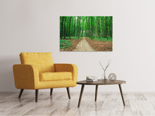 Laden Sie das Bild in den Galerie-Viewer, Leinwandbild Tannenwald