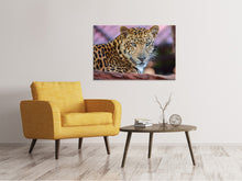 Laden Sie das Bild in den Galerie-Viewer, Leinwandbild Leopard