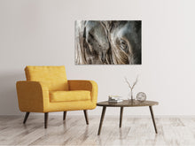 Laden Sie das Bild in den Galerie-Viewer, Leinwandbild Close Up Elefant