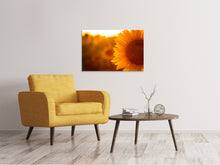 Laden Sie das Bild in den Galerie-Viewer, Leinwandbild Macro-Sonnenblume