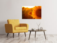 Laden Sie das Bild in den Galerie-Viewer, Leinwandbild Macro-Sonnenblume