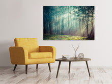 Laden Sie das Bild in den Galerie-Viewer, Leinwandbild Pinienwald