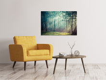 Laden Sie das Bild in den Galerie-Viewer, Leinwandbild Pinienwald