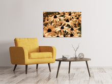 Laden Sie das Bild in den Galerie-Viewer, Leinwandbild Margeriten in Sepia