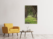 Laden Sie das Bild in den Galerie-Viewer, Leinwandbild Im Forstwald