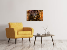 Laden Sie das Bild in den Galerie-Viewer, Leinwandbild Portrait eines Löwen