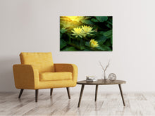 Laden Sie das Bild in den Galerie-Viewer, Leinwandbild Wilde Lotus
