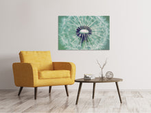 Laden Sie das Bild in den Galerie-Viewer, Leinwandbild Close Up Pusteblume