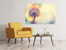 Laden Sie das Bild in den Galerie-Viewer, Leinwandbild Die Pusteblume im Licht