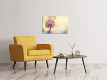 Laden Sie das Bild in den Galerie-Viewer, Leinwandbild Die Pusteblume im Licht