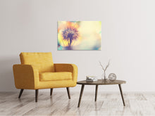 Laden Sie das Bild in den Galerie-Viewer, Leinwandbild Die Pusteblume im Licht