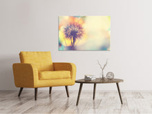 Laden Sie das Bild in den Galerie-Viewer, Leinwandbild Die Pusteblume im Licht