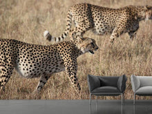 Laden Sie das Bild in den Galerie-Viewer, Fototapete 2 Leoparden